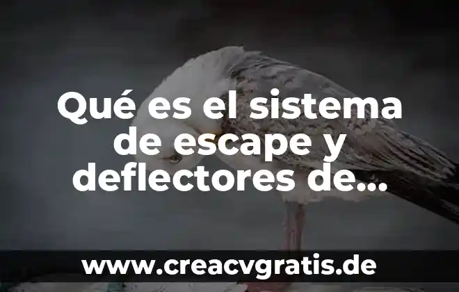Qué es imprevisto significado 6 Qué es el sistema de escape y deflectores de calor