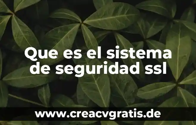 Que es un factor de señal sistema taguchi 4 Que es el sistema de seguridad ssl
