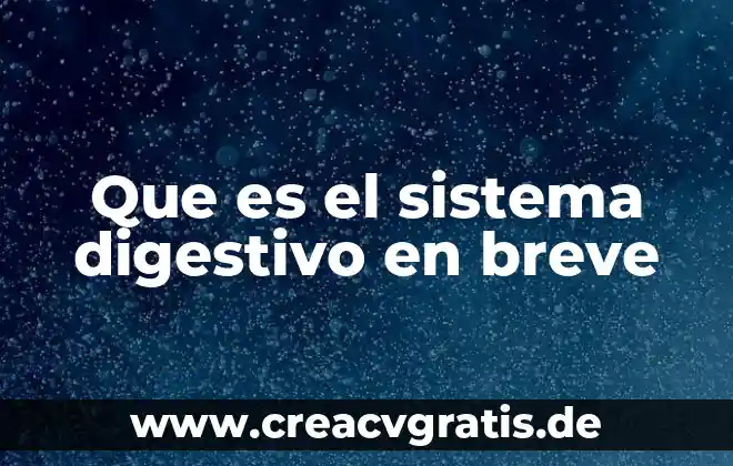 Qué es el sistema de inteligencia de mercados 3 Que es el sistema digestivo en breve