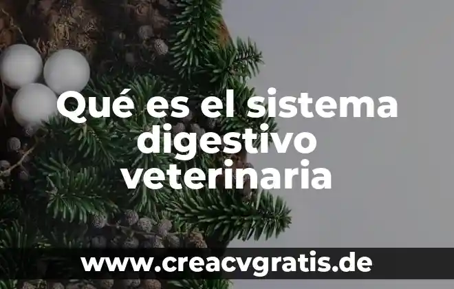Qué es el sistema de inteligencia de mercados 6 Qué es el sistema digestivo veterinaria