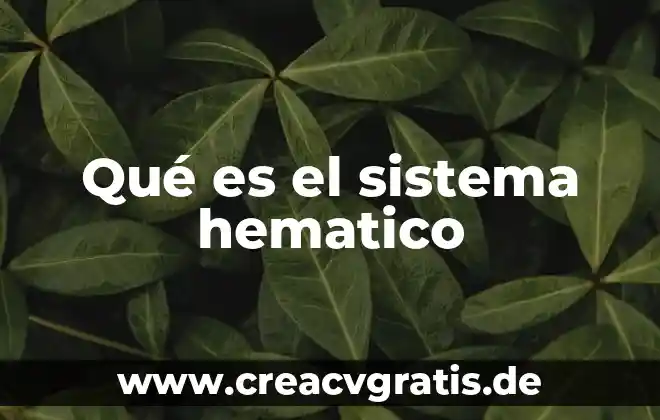 Que es el sistema sexagesimo 3 Qué es el sistema hematico