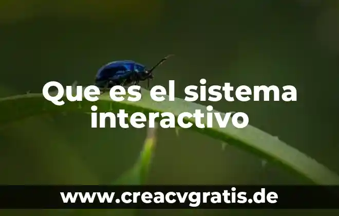 Que es sistema ser humano productor 5 Que es el sistema interactivo