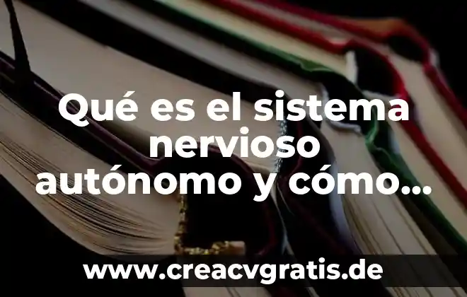 Que es un organismo fiscal autónomo del imss 5 Qué es el sistema nervioso autónomo y cómo se clasifica