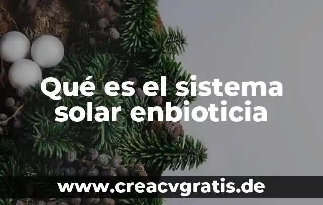 Que es sistema de membrana interna 5 Qué es el sistema solar enbioticia