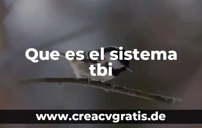Sistema scriptamiento que es 5 Que es el sistema tbi