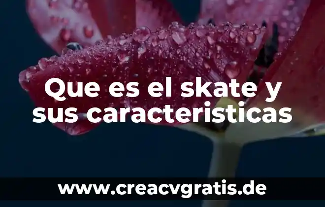 Que es el debate caracteristicas y tipos 8 Que es el skate y sus caracteristicas