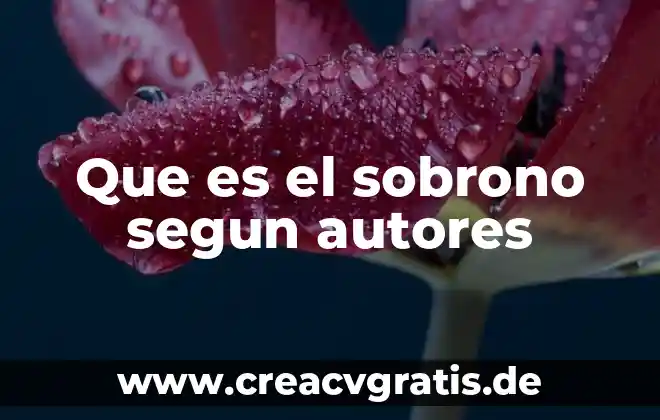 Que es cadena de suministro segun autores modernos 6 Que es el sobrono segun autores