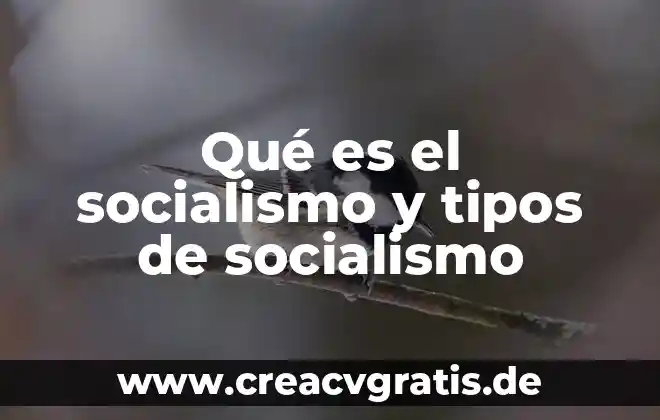 Qué es el socialismo y un ejemplo 3 Qué es el socialismo y tipos de socialismo