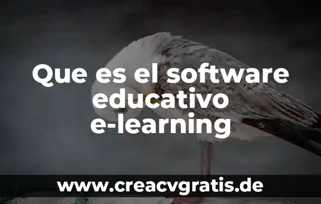Que es un examen educativo 8 Que es el software educativo e-learning