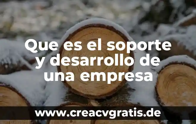 Empresa productiva subsidiaria que es 4 Que es el soporte y desarrollo de una empresa