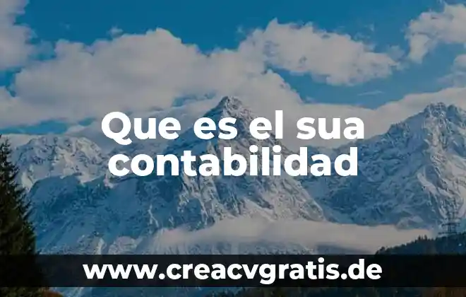 Investigar que es la influencia 5 Que es el sua contabilidad