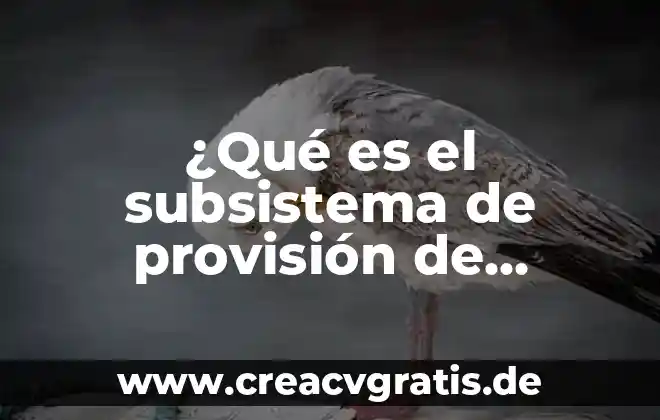 Qué es ingeniería en recursos hídricos 4 ¿Qué es el subsistema de provisión de recursos humanos?