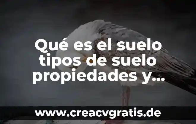 Que es tra de la distribución de la planta 5 Qué es el suelo tipos de suelo propiedades y distribución