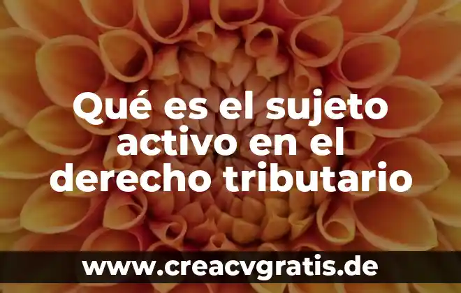 Que es un sujeto tipos de sujeto y su estructura 6 Qué es el sujeto activo en el derecho tributario
