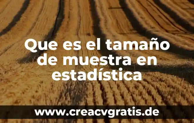 Que es estadistica y tipos de estadistica 8 Que es el tamaño de muestra en estadística