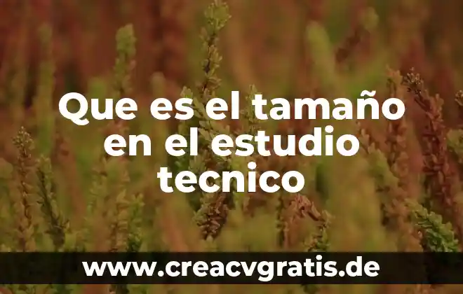 Ara que es el estudio psa en los hombres 4 Que es el tamaño en el estudio tecnico