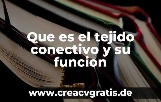 Qué es el tejido óseo y sus tipos 4 Que es el tejido conectivo y su funcion