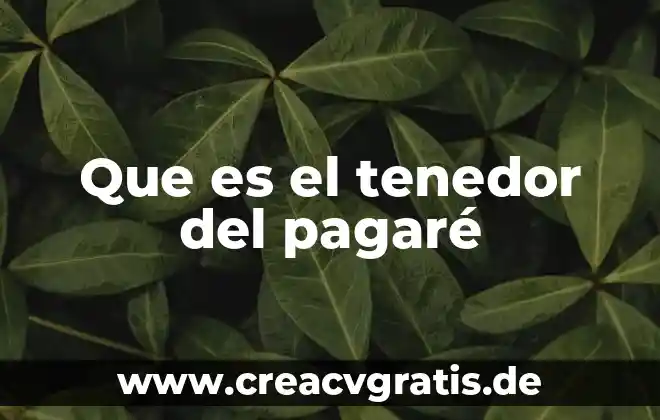 Que es un pagare y tipos de pagares 3 Que es el tenedor del pagaré