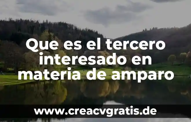 Que es el término de depuracion en un amparo 3 Que es el tercero interesado en materia de amparo