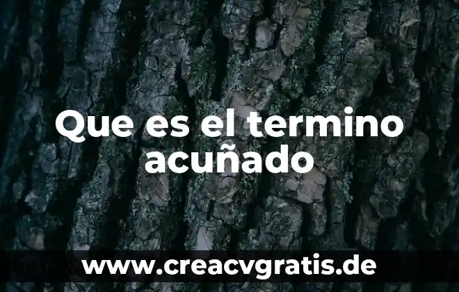 Que es una hoja de calculo y tipos inform 7 Que es el termino acuñado