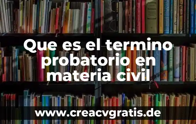 Que es un argumento en la materia de logica 4 Que es el termino probatorio en materia civil