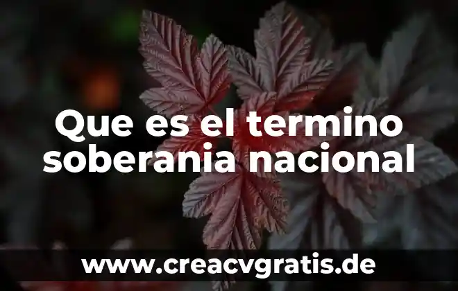 Que es economia modelos capitalista+ 6 Que es el termino soberania nacional