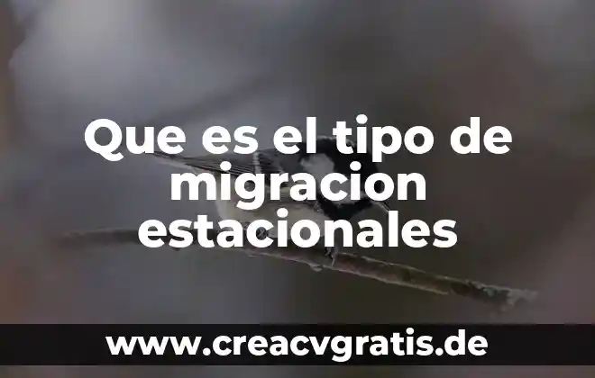 Tipo de bolsa que es de sabritas 8 Que es el tipo de migracion estacionales