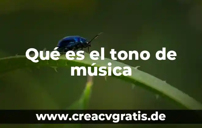 Qué significa o qué es un WAN en informática 8 Qué es el tono de música
