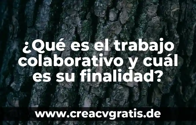 Que es nanotecnologia y cual es significado 5 ¿Qué es el trabajo colaborativo y cuál es su finalidad?