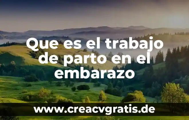 Qué es un melidre en un parto natural 5 Que es el trabajo de parto en el embarazo