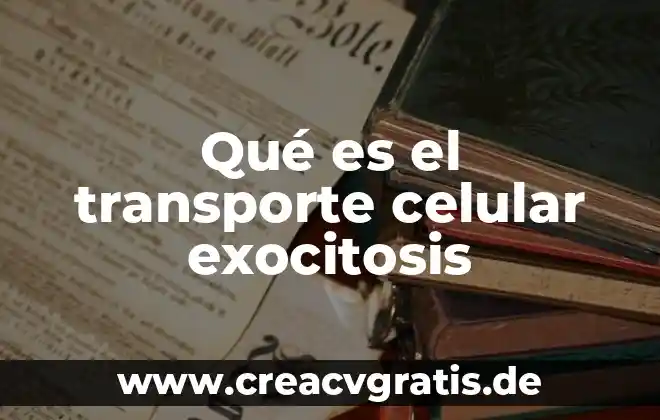 Que es el transporte celular y sus tipos 7 Qué es el transporte celular exocitosis
