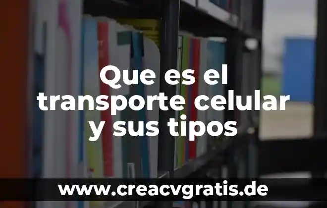 Qué es higiene en transporte público 7 Que es el transporte celular y sus tipos