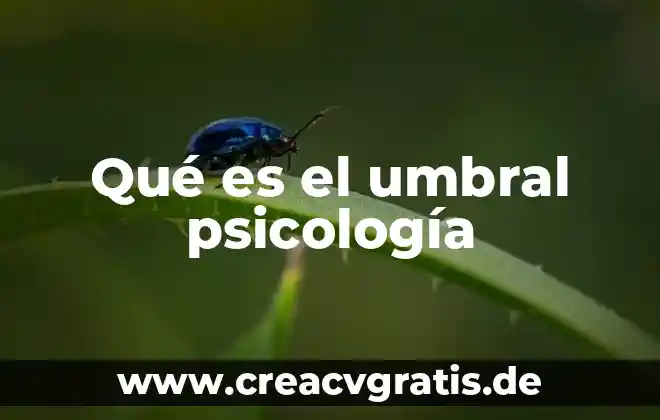 ¿Qué es la psicología? 5 Qué es el umbral psicología