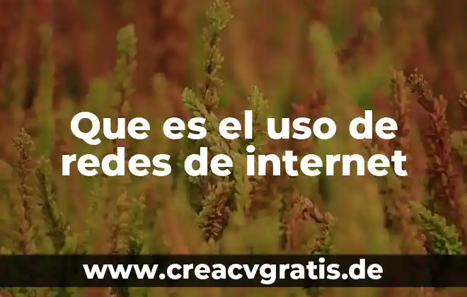 Que es mensaje en las redes sociales 5 Que es el uso de redes de internet