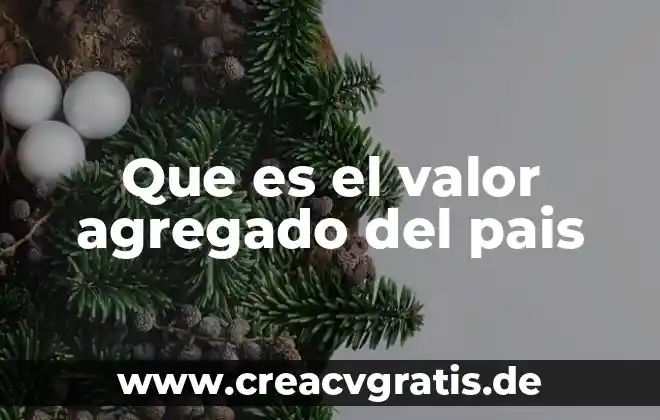 Que es el agregado economico 4 Que es el valor agregado del pais