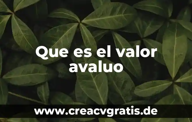Que es presteza como valor 7 Que es el valor avaluo