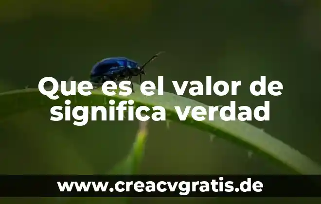 Que es el valor absoluto y relativo de un numero 7 Que es el valor de significa verdad