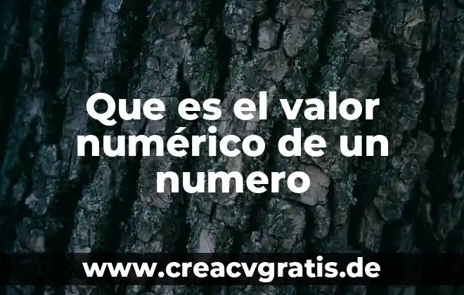 Que es valor de la justicia 5 Que es el valor numérico de un numero