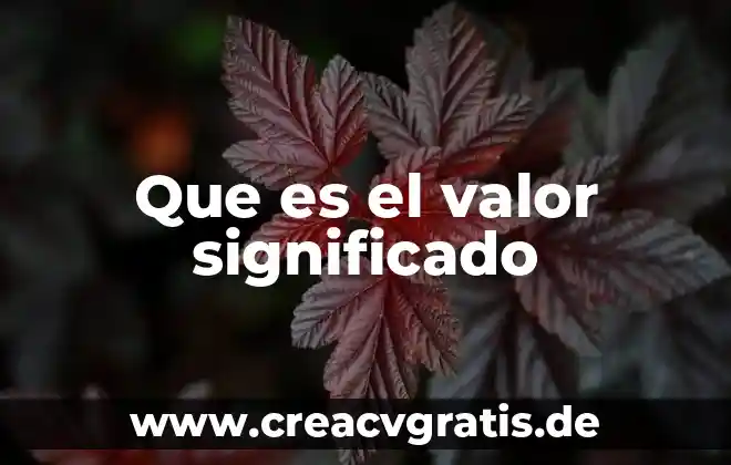 Qué es artrología significado 7 Que es el valor significado