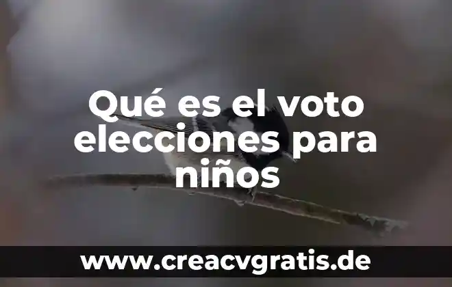 Que es el voto de la planta 3 Qué es el voto elecciones para niños
