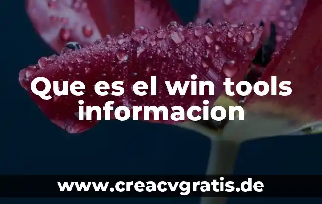 Qué es berrinche significado 7 Que es el win tools informacion