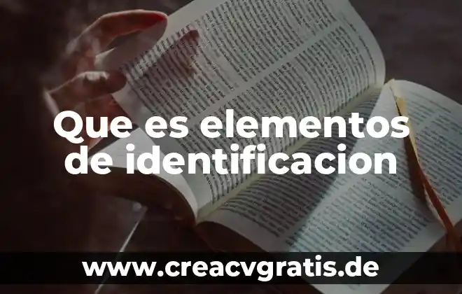 Qué es el número de identificación fiscal México 4 Que es elementos de identificacion