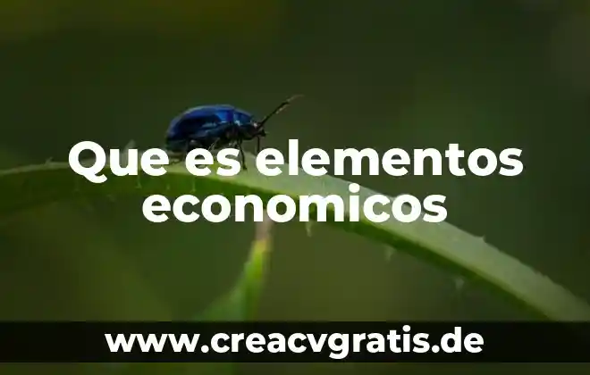 Bloques económicos la que es 8 Que es elementos economicos