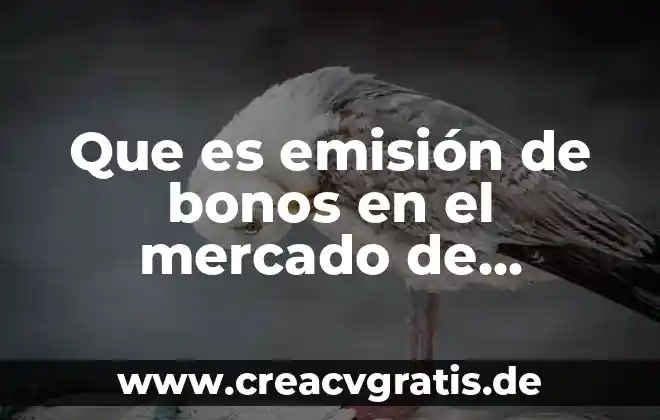 Proceso de compra en el mercado que es 3 Que es emisión de bonos en el mercado de capitales