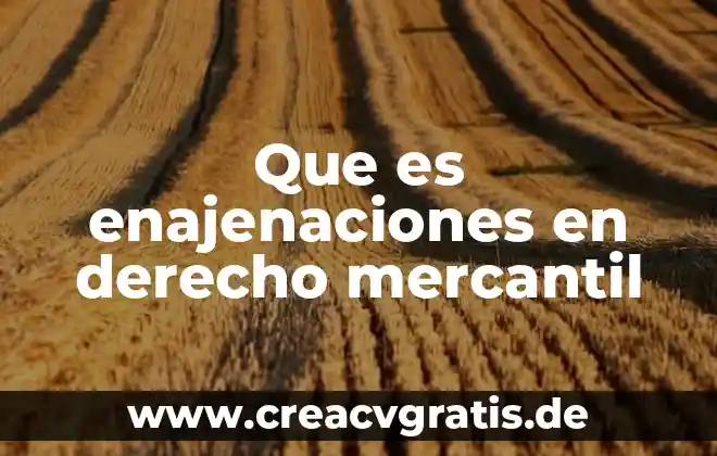 Qué es una sociedad mercantil en contabilidad 5 Que es enajenaciones en derecho mercantil