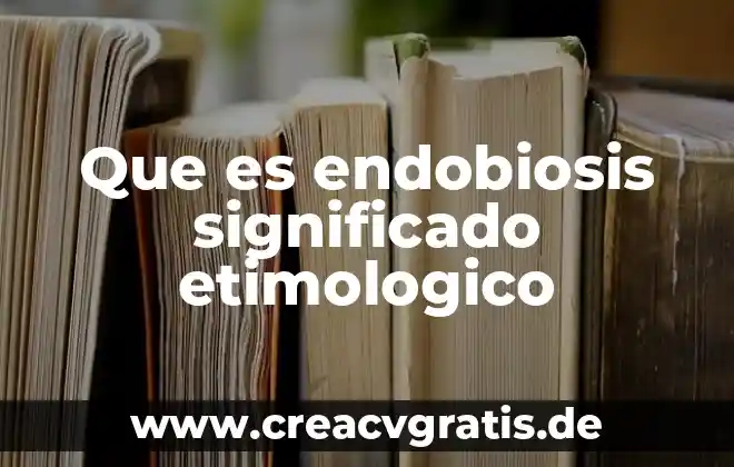 Qué es top mount significado 3 Que es endobiosis significado etimologico