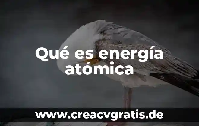 Qué es el número atómico masa atómica valencia y electronegatividad 8 Qué es energía atómica