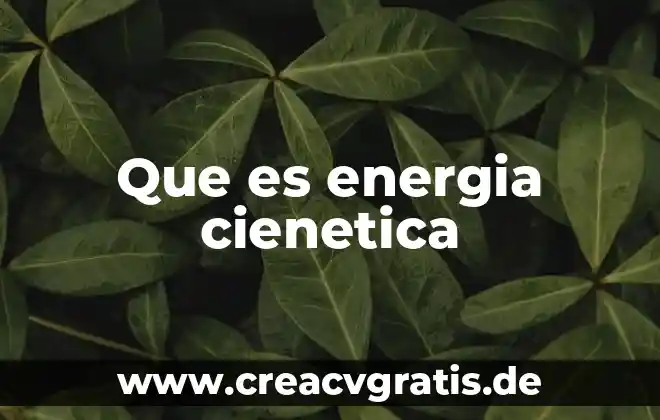 Qué es la secretaria de energía en méxico 5 Que es energia cienetica