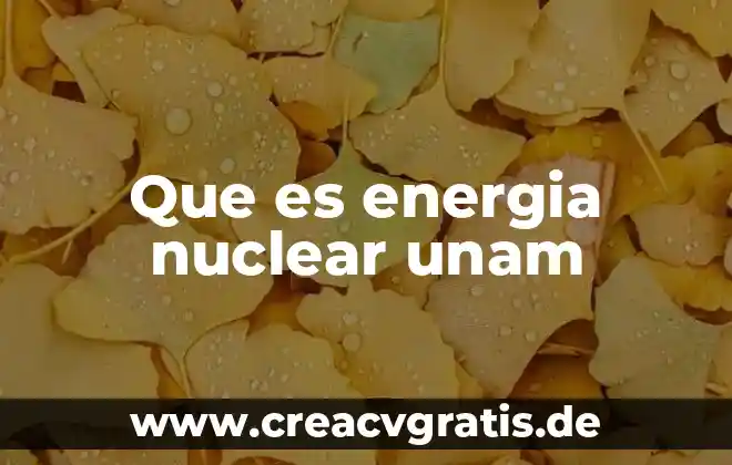 Qué es vigilia medicina unam 6 Que es energia nuclear unam