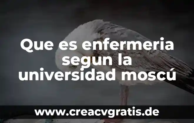 Que es una universidad virtual concepto que es 3 Que es enfermeria segun la universidad moscú